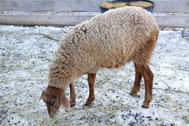 Similar image 22125576