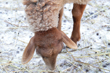 Similar image 22125577