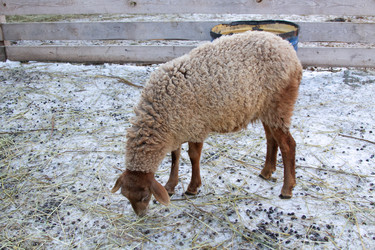 Similar image 22125632