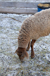 Similar image 22124949