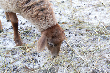 Similar image 22124951