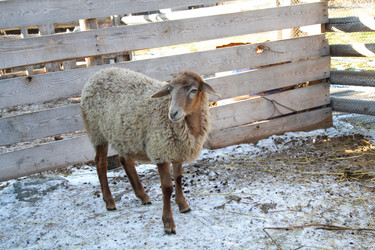 Similar image 22124952