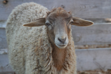 Similar image 22124953