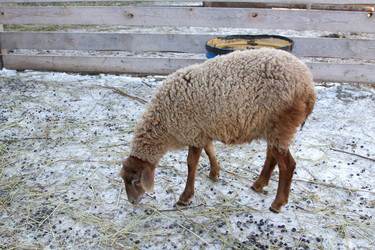 Similar image 22124954