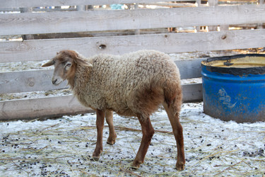 Similar image 22124987