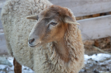 Similar image 22124988