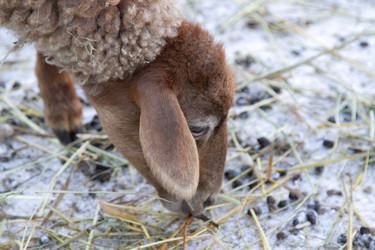 Similar image 22124989