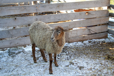 Similar image 22124990