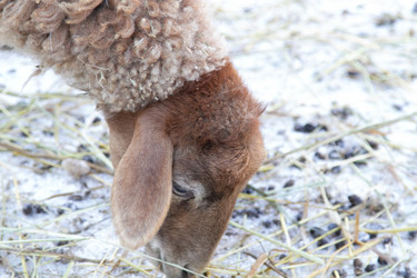 Similar image 22125067