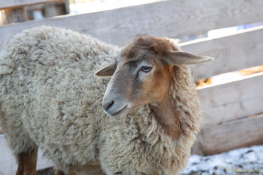 Similar image 22125068