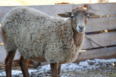 Similar image 22125069