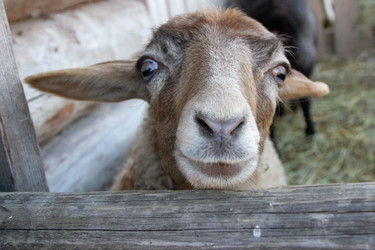 Similar image 22125070