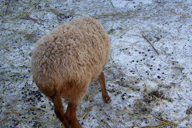 Similar image 22125250