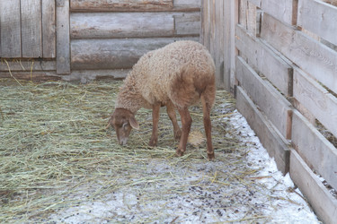 Similar image 22125578