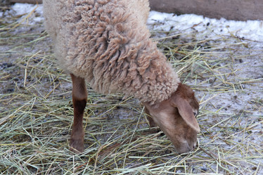 Similar image 22125579