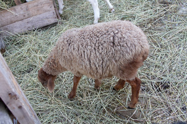 Similar image 22125633