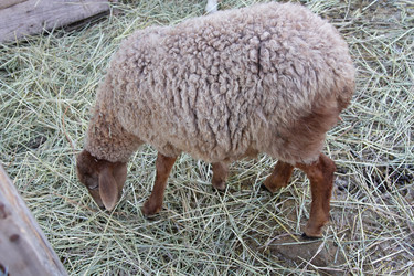 Similar image 22125634