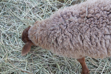 Similar image 22125635