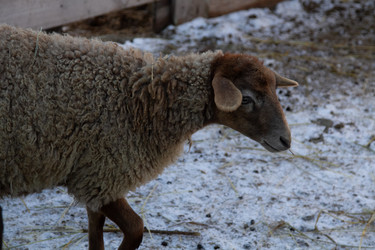 Similar image 22125637