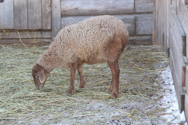 Similar image 22124956