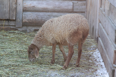 Similar image 22124991