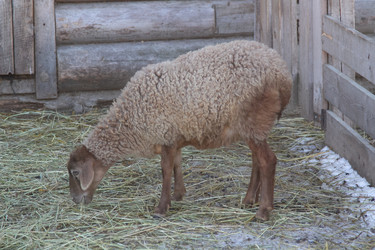 Similar image 22124992