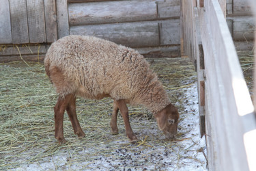 Similar image 22124993