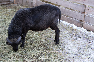 Similar image 22125071