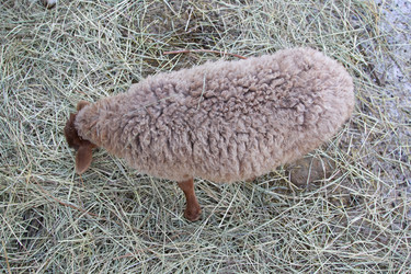 Similar image 22125356