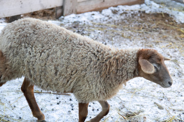 Similar image 22125357