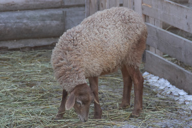 Similar image 22125358