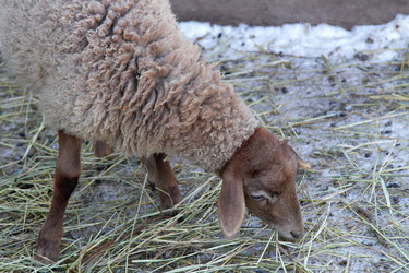 Similar image 22125398