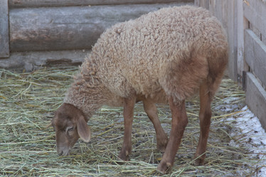 Similar image 22125399