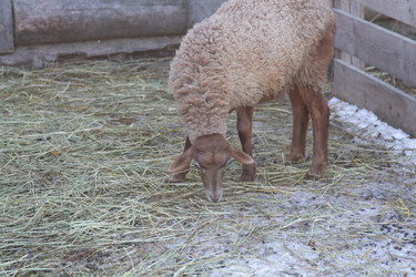 Similar image 22125400