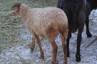 Similar image 22125401