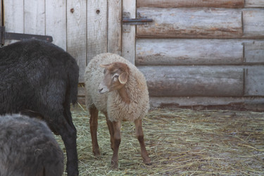 Similar image 22125402