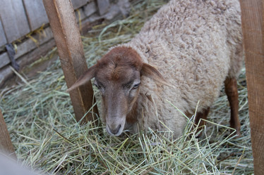 Similar image 22125404