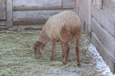 Similar image 22125405