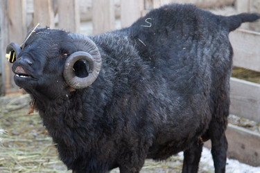 Similar image 22125251