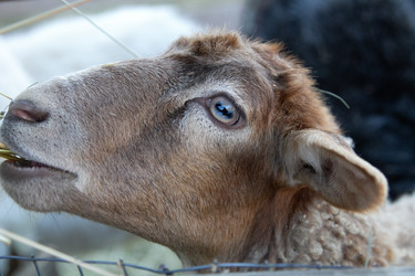 Similar image 22124994