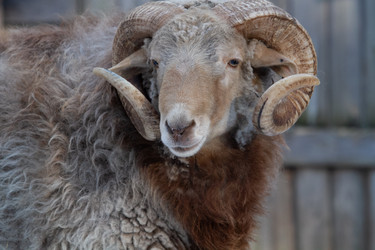 Similar image 22125072