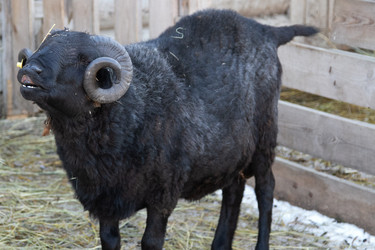 Similar image 22125073