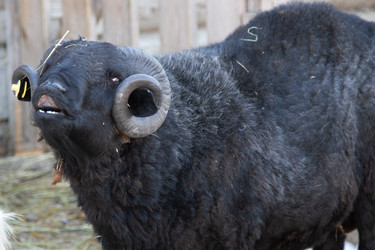 Similar image 22125075