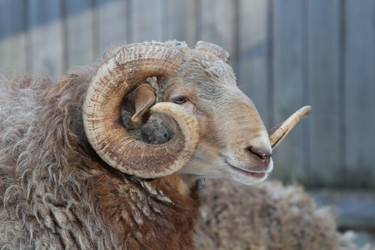 Similar image 22125076