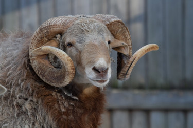 Similar image 22125161