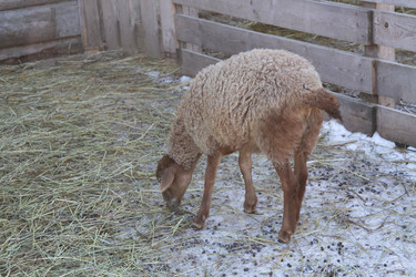 Similar image 22125359