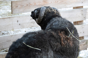 Similar image 22125361