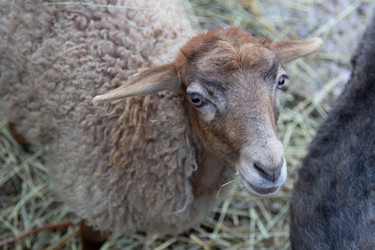 Similar image 22125407