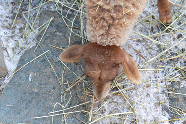 Similar image 22125408