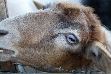 Similar image 22125410